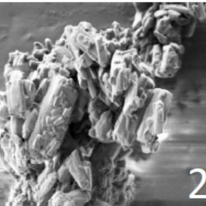 SEM images of particles obtained by deposition on mannitol of Mycoplasma a and nanoemulsion. Magnification x1000 (1), x5000 , x10000X (2) and 100000X (3).