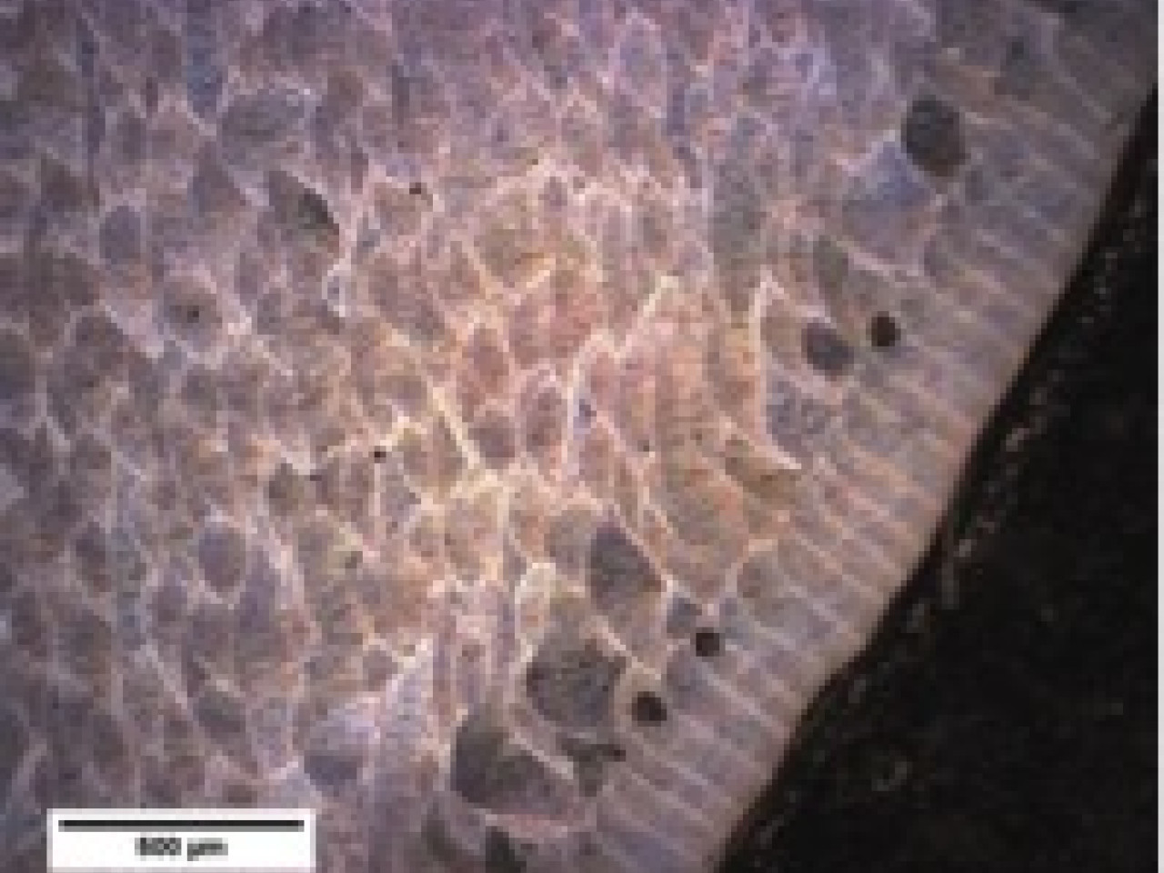 Low-magnification image (optical microscope) of the microstructure of the AlSi10Mg alloy produced by AM Low-magnification image (optical microscope) of the microstructure of the AlSi10Mg alloy produced by AM