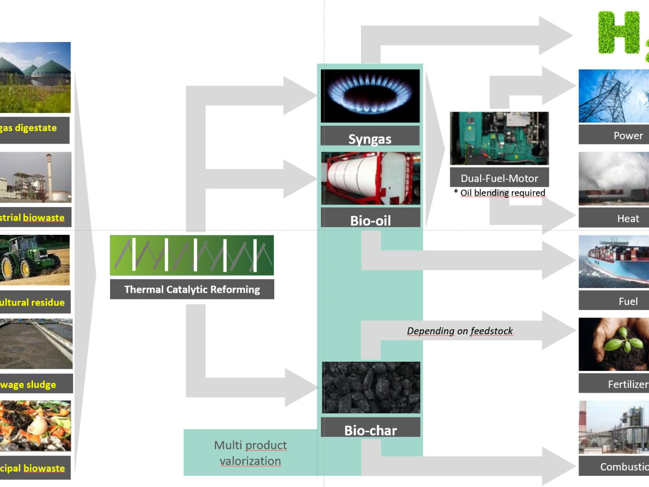 Flexibility of input feedstock and products obtained