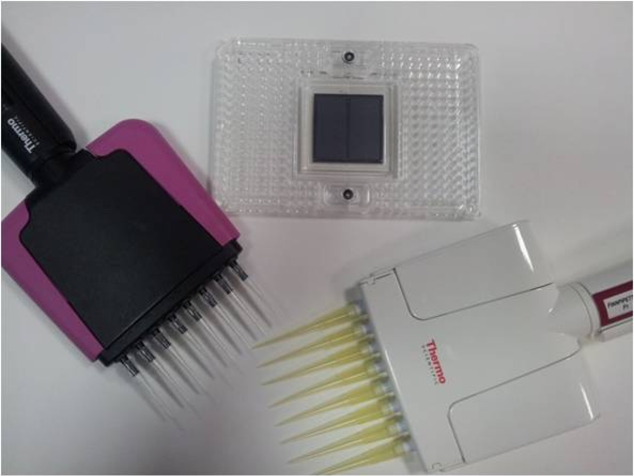 chip utilizzato per le analisi chip utilizzato per le analisi