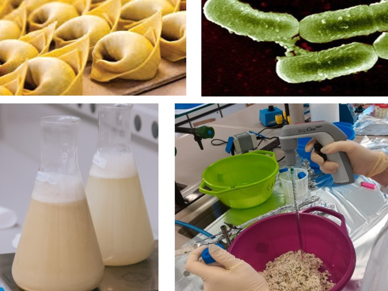 Strategia per aumentare la shelf-life di pasta fresca ripiena