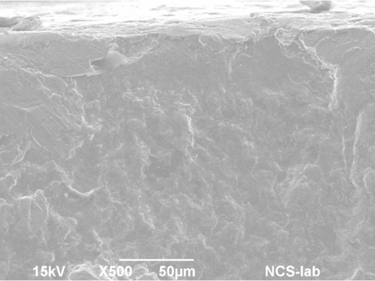 Ratchet marks in corrispondenza della zona di nucleazione di un innesco a fatica. Meccanismo transgranulare a basso livello di plasticità