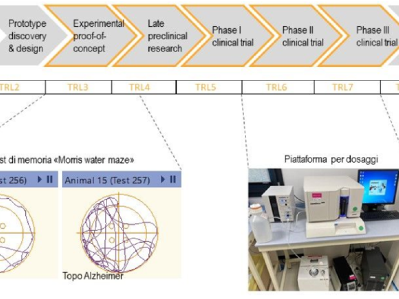 IRET Foundation offers the service for developing products from preclinical (TRL3) to clinical study (TRL7), using validated procedures according to the guidelines of the relative regulatory agencies.