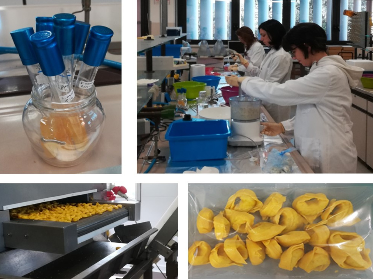 Example of use of lactic cultures in the filling of fresh pasta Example of use of lactic cultures in the filling of fresh pasta
