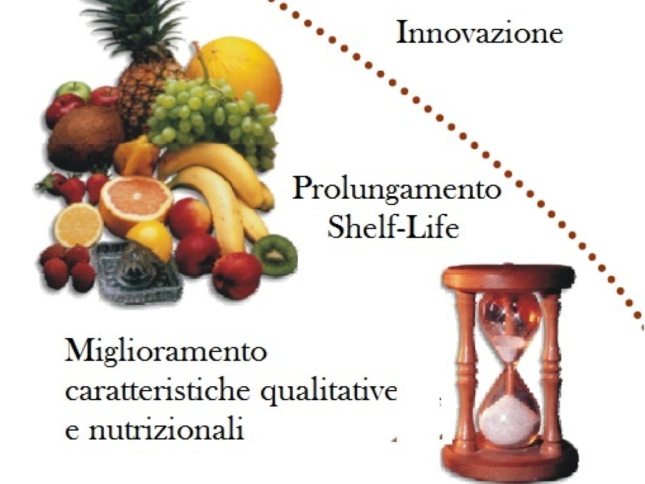 Innovazione di processo per i prodotti di origine vegetale