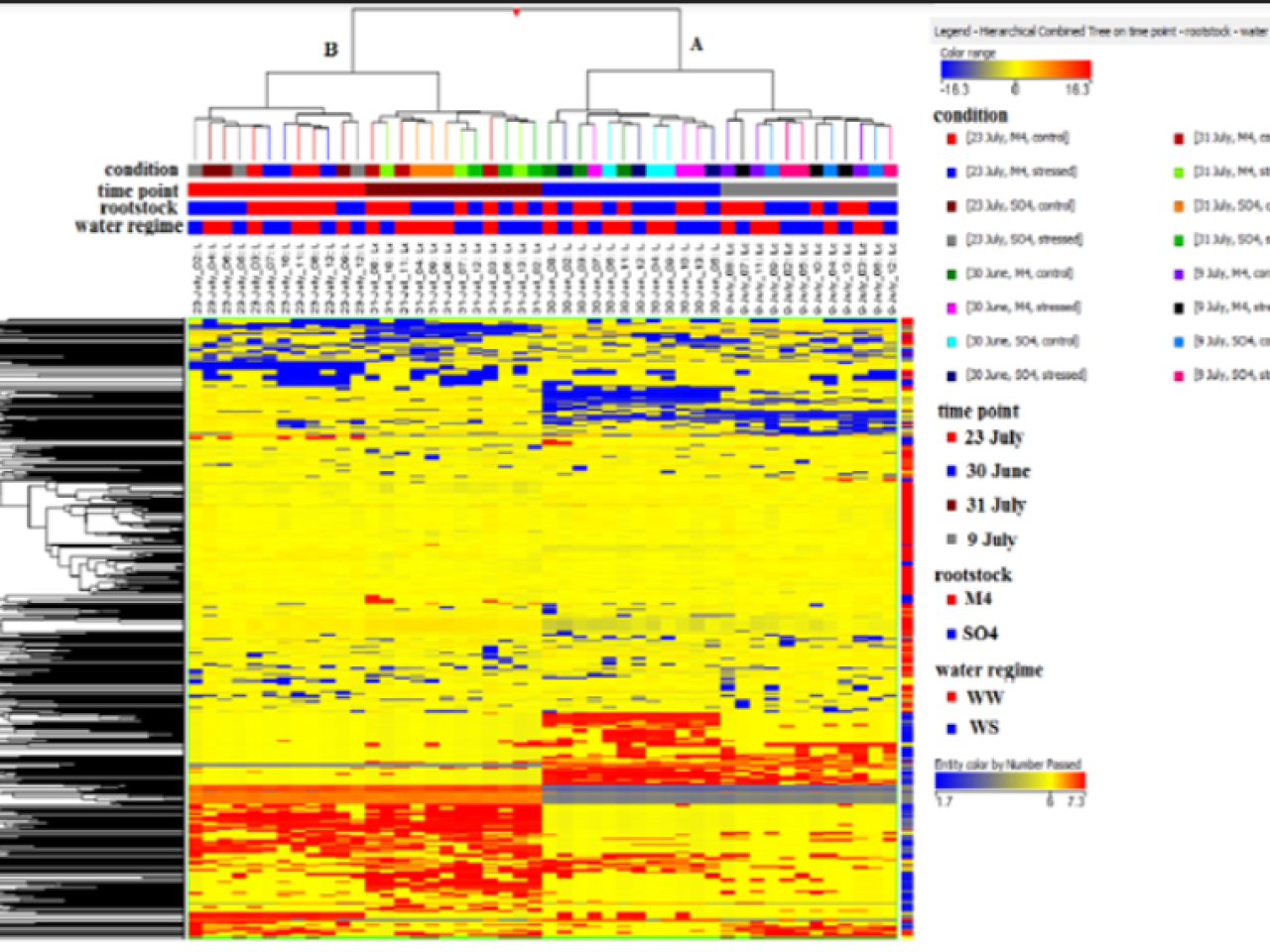 Risultato della caratterizzazione metabolomica di bacche di uva da vino, varietà Sangiovese, in funzione del portainnesto (M4 e SO4) e dello stress idrico