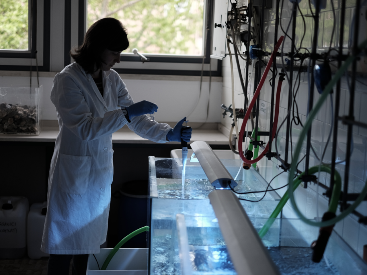Ichthyology laboratory equipped for testing environmental mitigation solutions Ichthyology laboratory equipped for testing environmental mitigation solutions