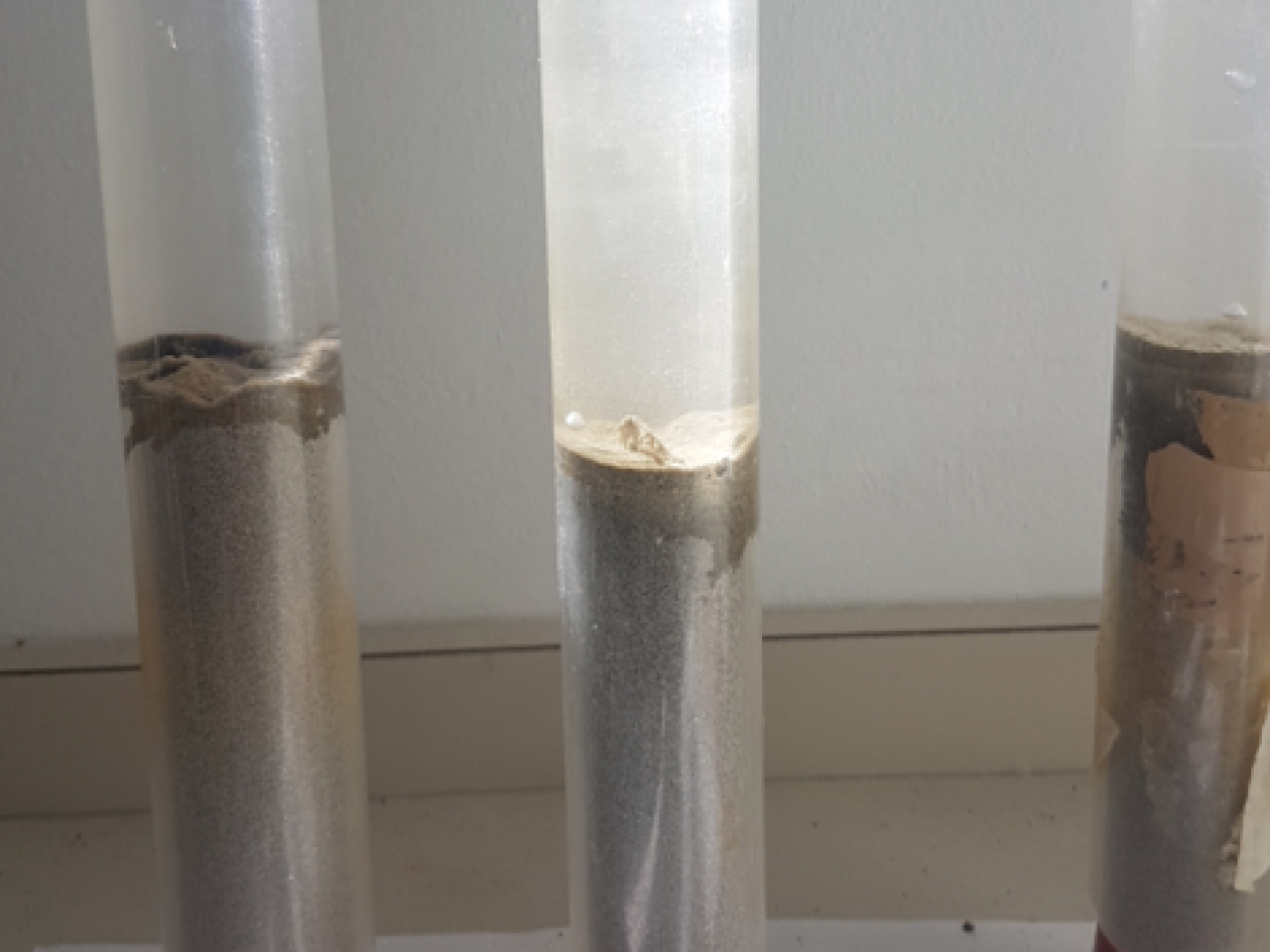 Sediment samples