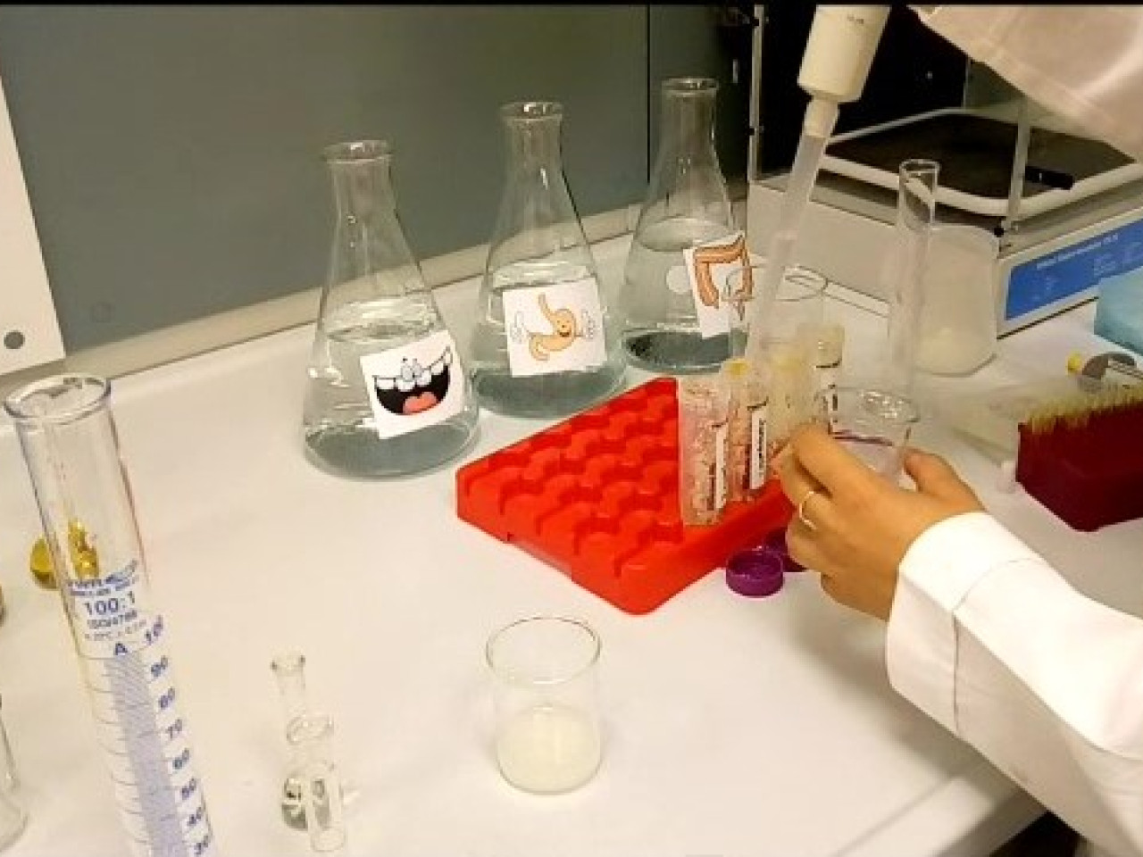 Una fase della digestione gastrointestinale simulata. Una fase della digestione gastrointestinale simulata.